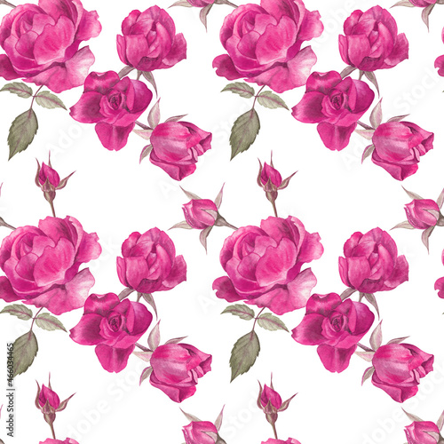 Floral seamless pattern with the purple roses painted in watercolor  on white isolate background. Elegant classical design for fabric  wrapping paper  wallpapers  stationery.