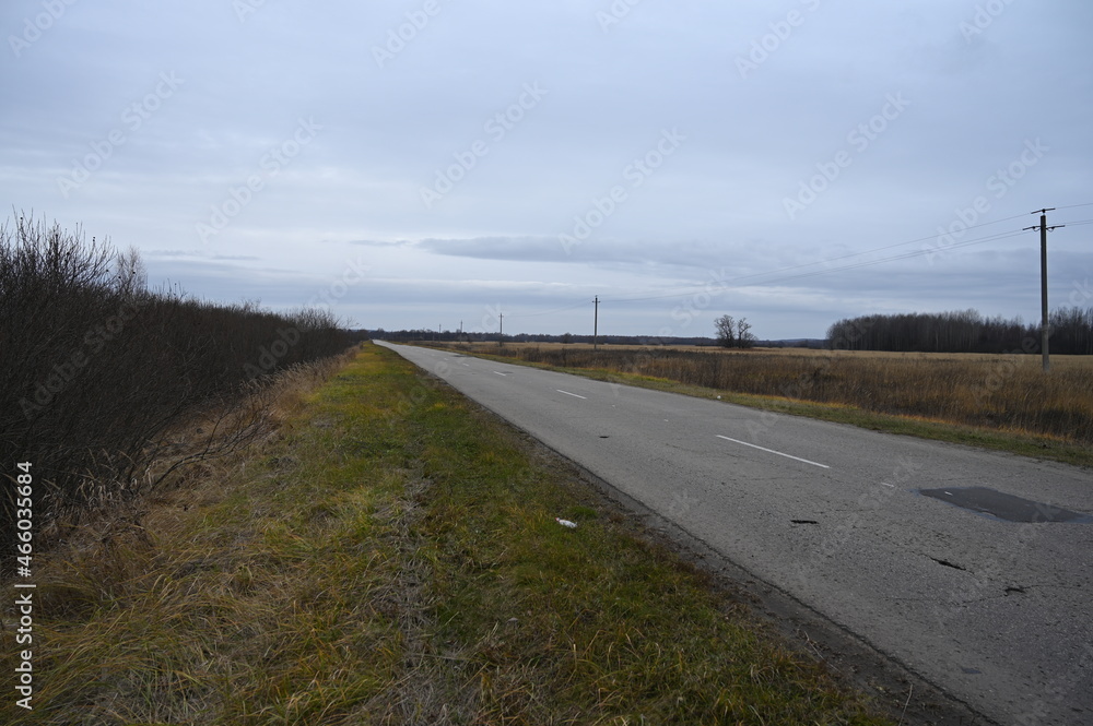 Autumn cloudy day. Russian steppes. Asphalt road stretching beyond the horizon.