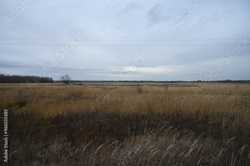 Autumn cloudy day. Russian steppes. Weather before rain.