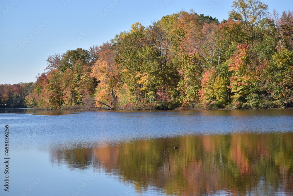 Autumn leaves reflecting on a lake Autumn leaves reflecting on a lake