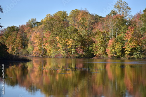 Autumn leaves reflecting on a lake