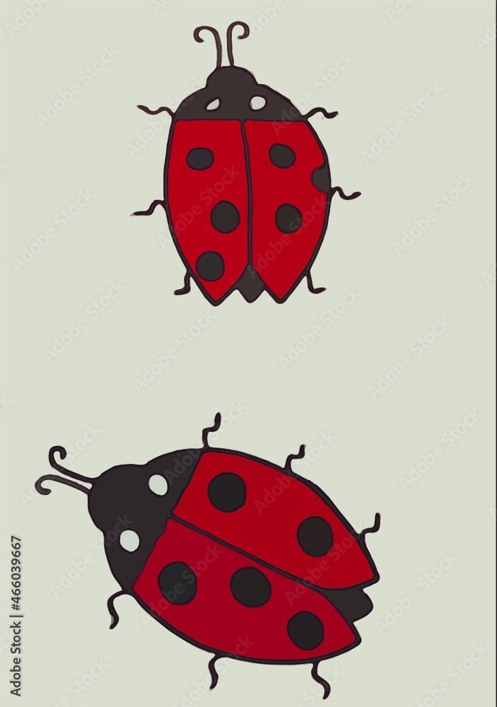 Set of ladybugs. Flat vector illustration. Set of ladybugs. Flat vector illustration.