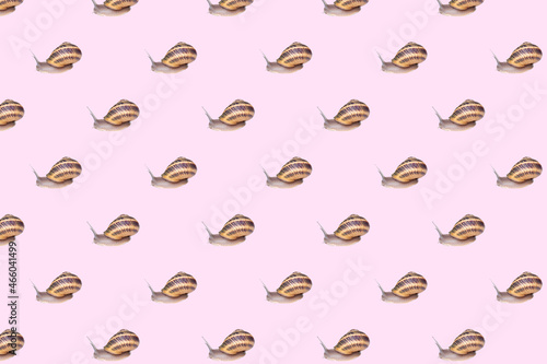 Seamless wallpaper pattern with garden brown snails. © vittaliya