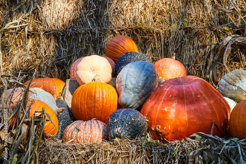Pile of fall pumpkins and gourds on bales of hay