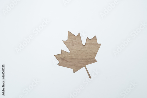 maple leaf cut on paper