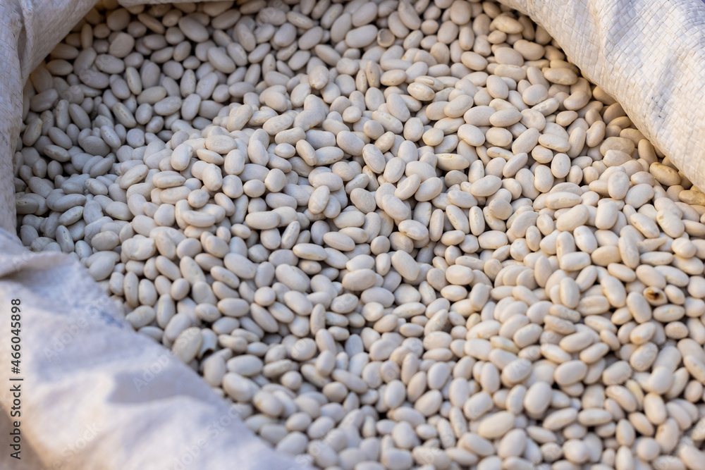 fresh dried beans at the market fresh dried beans at the market