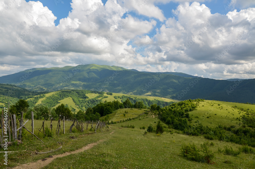 Landscape of bright summer day in Carpathian mountains, panorama of Carpathians, blue sky, trees and green hills, beautiful view