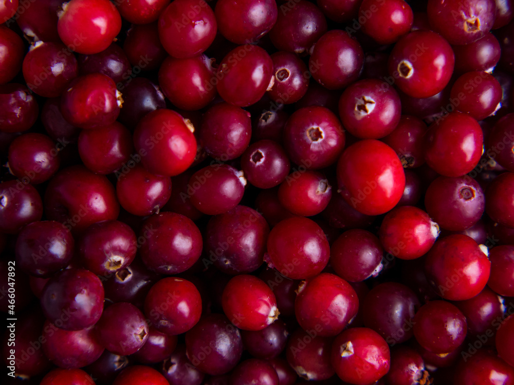 background of ripe fresh cranberries close up