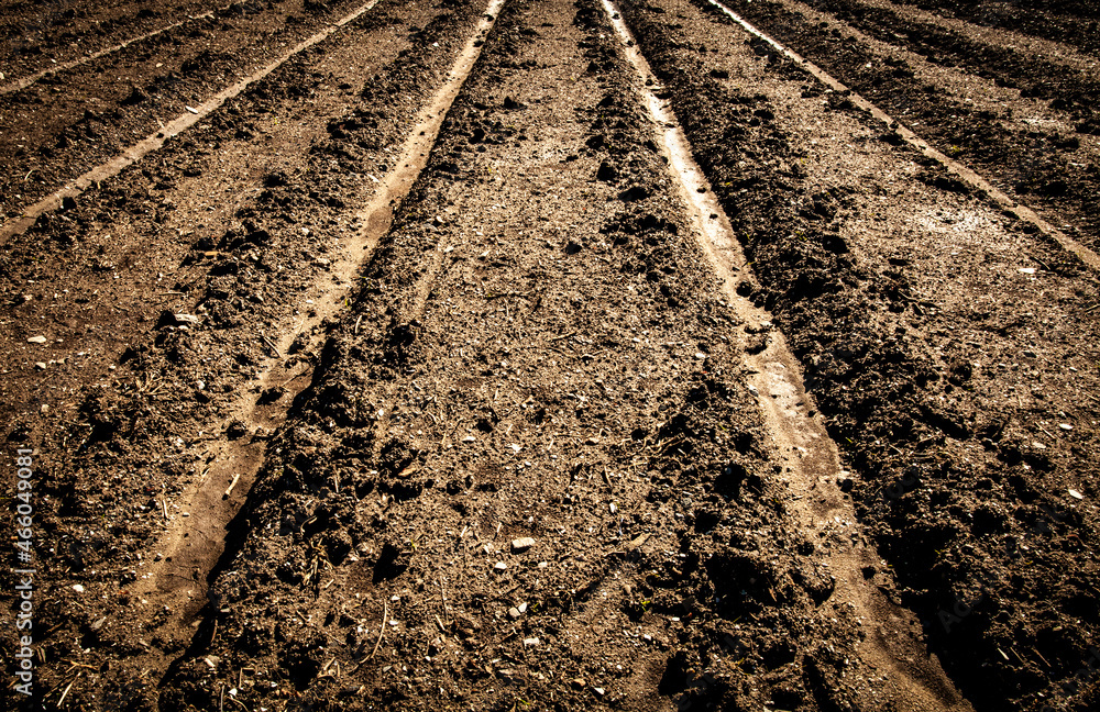 Muddy garden soil with tracks Muddy garden soil with tracks