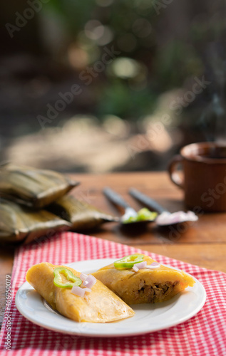 Photography Beef tamale served on a white plate