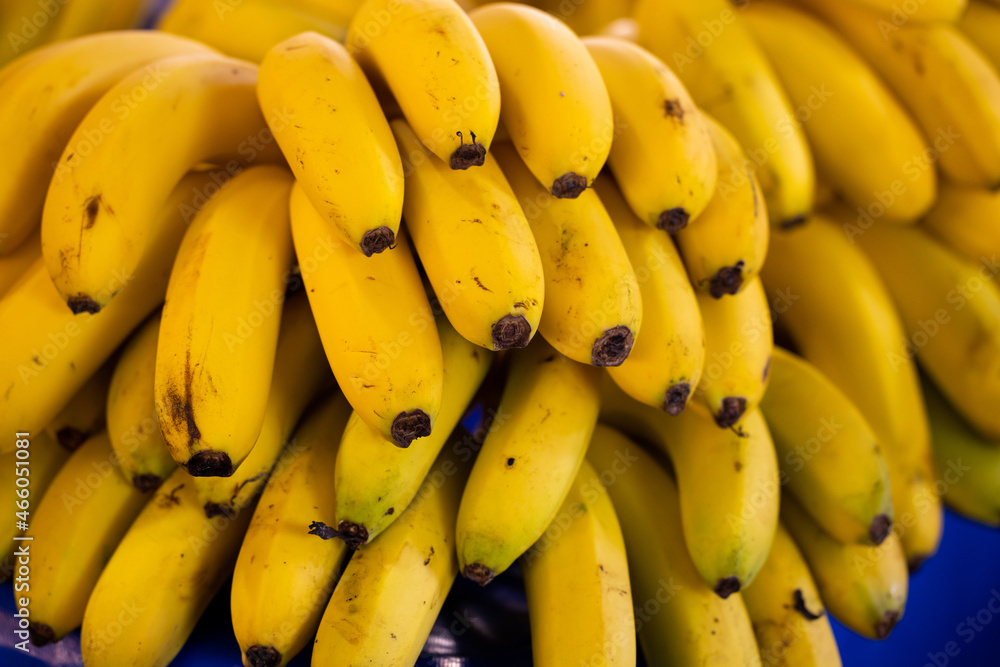 fresh bananas in the market