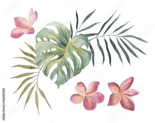 Plumeria, monstera, palm leaf. Tropical exotic plants set. Watercolor colorful flowers. Object isolated on white background. Set for textile, design, backgrounds.