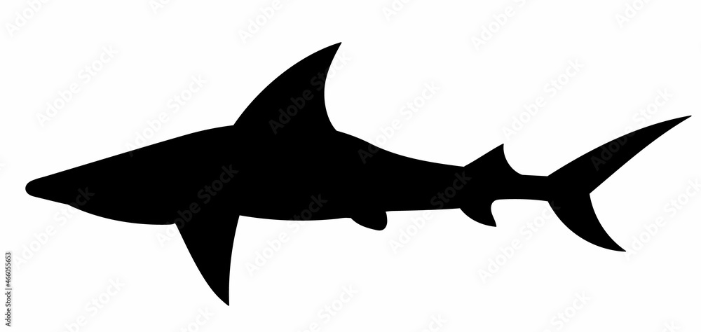 silhouette of a shark on a white background silhouette of a shark on a white background