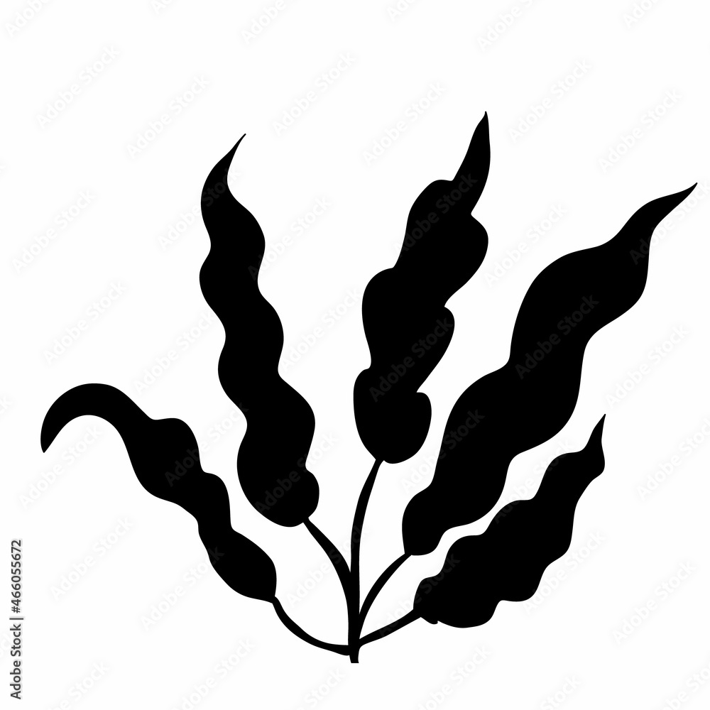 Fototapeta premium black silhouette seaweed, isolated vector, on white background