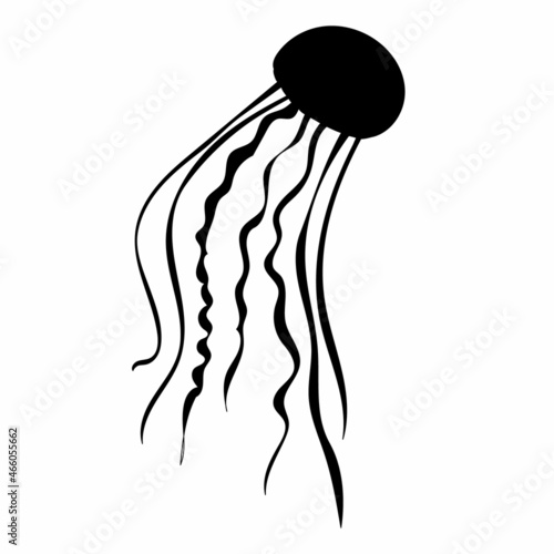 silhouette of jellyfish on a white background