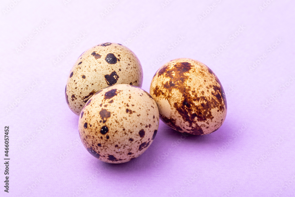 three quail eggs on a lilac background closeup