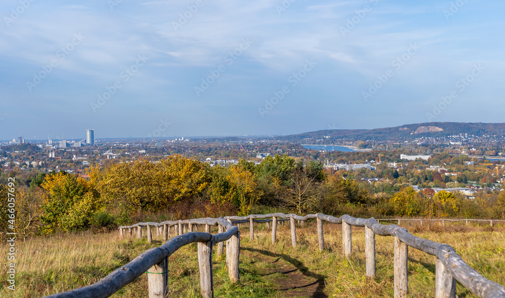 Fototapeta premium Wandern im Drachenfelser Ländchen