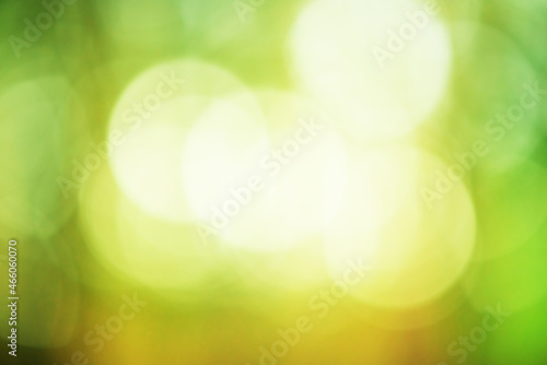 Natural green defocus light nature abstract background.