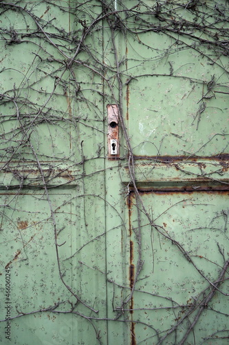 Alte grüne Tür ohne Kline in einer ehemaligen Fabrik von Ranken überwuchert im Stadtviertel Margaretenhütte in Gießen an der Lahn in Hessen photo