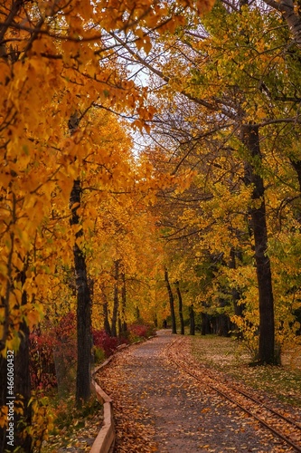 Pathway Through An Autumn Park