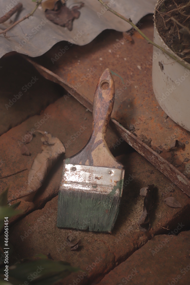 Paintbrush in an abandoned place in Nicaragua Paintbrush in an abandoned place in Nicaragua
