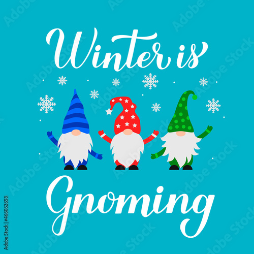 Cute cartoon gnomes. Winter is cnoming quote calligraphy hand lettering isolated on white. Scandinavian Nordic Character. Vector template for banner, poster, greeting card, t- shirt, etc