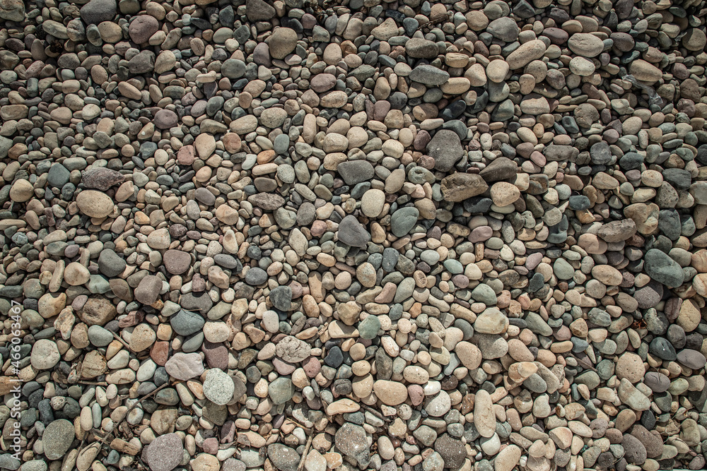 Assorted Rocks