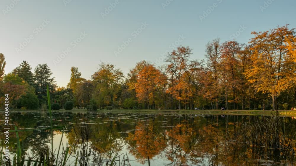 pond with water lilies in the city park, time lapse with camera movement along the water pond with water lilies in the city park, time lapse with camera movement along the water