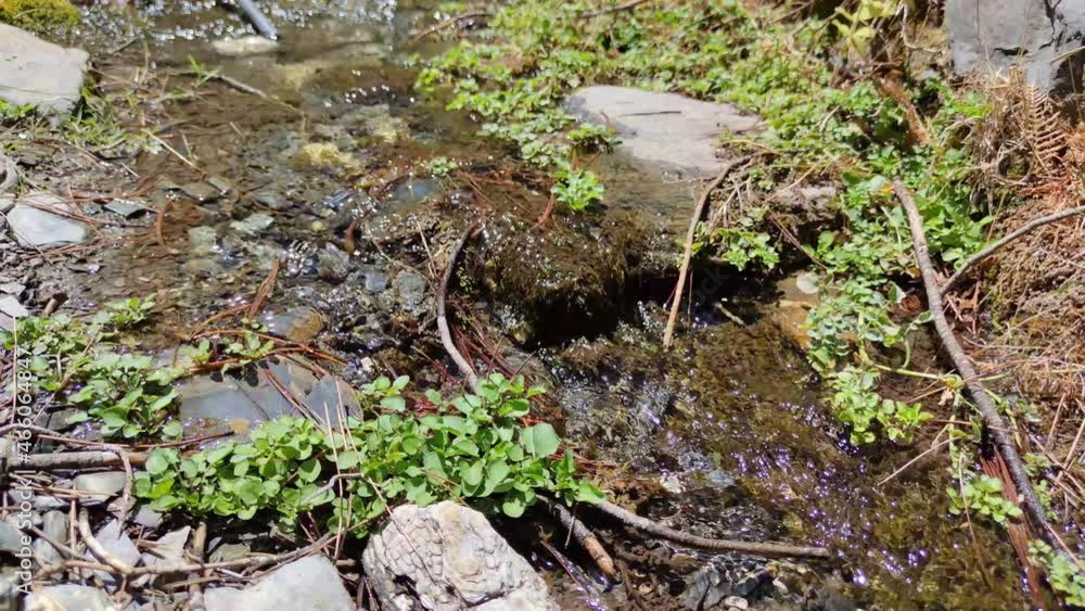 Nature river waterfall forest, Water flows over the stones Nature river waterfall forest, Water flows over the stones