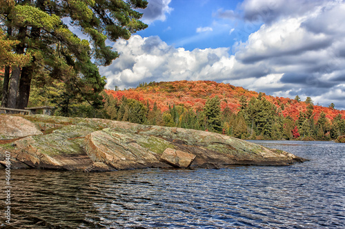 Colorful fall leaves in Algonquin provincial park 