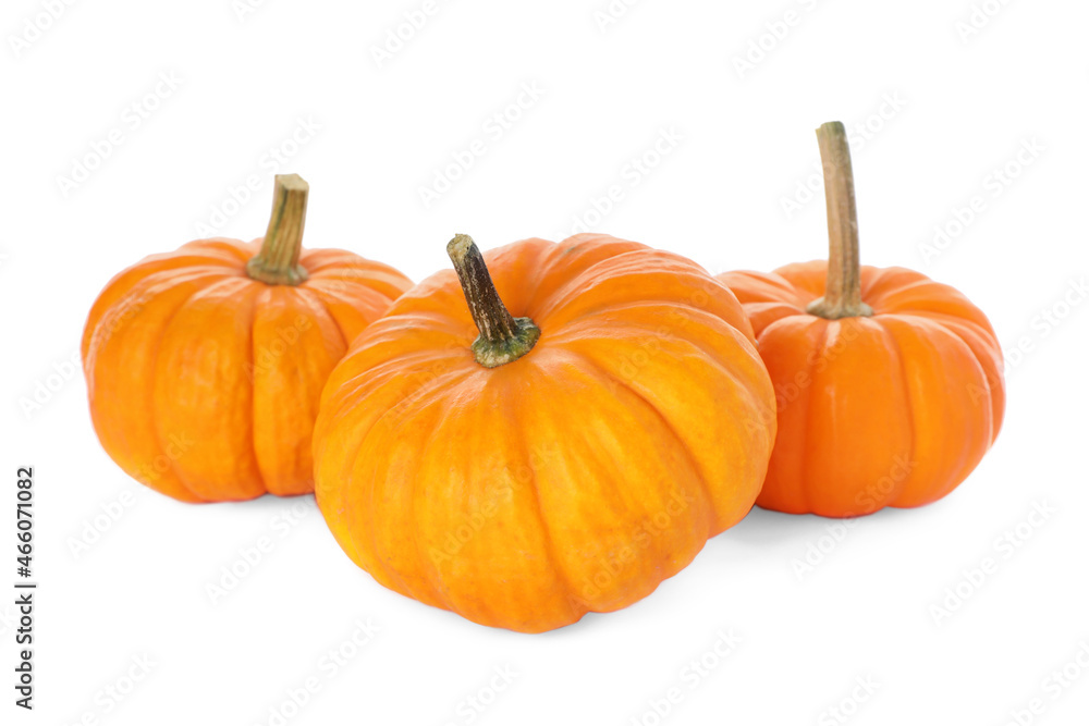 Fresh ripe orange pumpkins on white background Fresh ripe orange pumpkins on white background