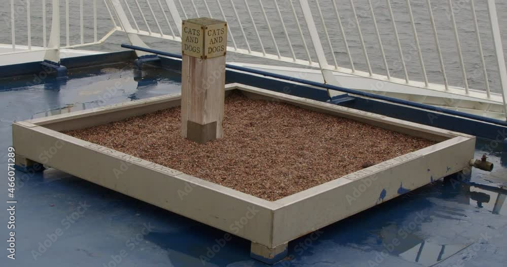 A toilet for domestic animals on board the passenger ferry. Sandbox for cats and dogs on the open deck of a cruise ship. A toilet for domestic animals on board the passenger ferry. Sandbox for cats and dogs on the open deck of a cruise ship.