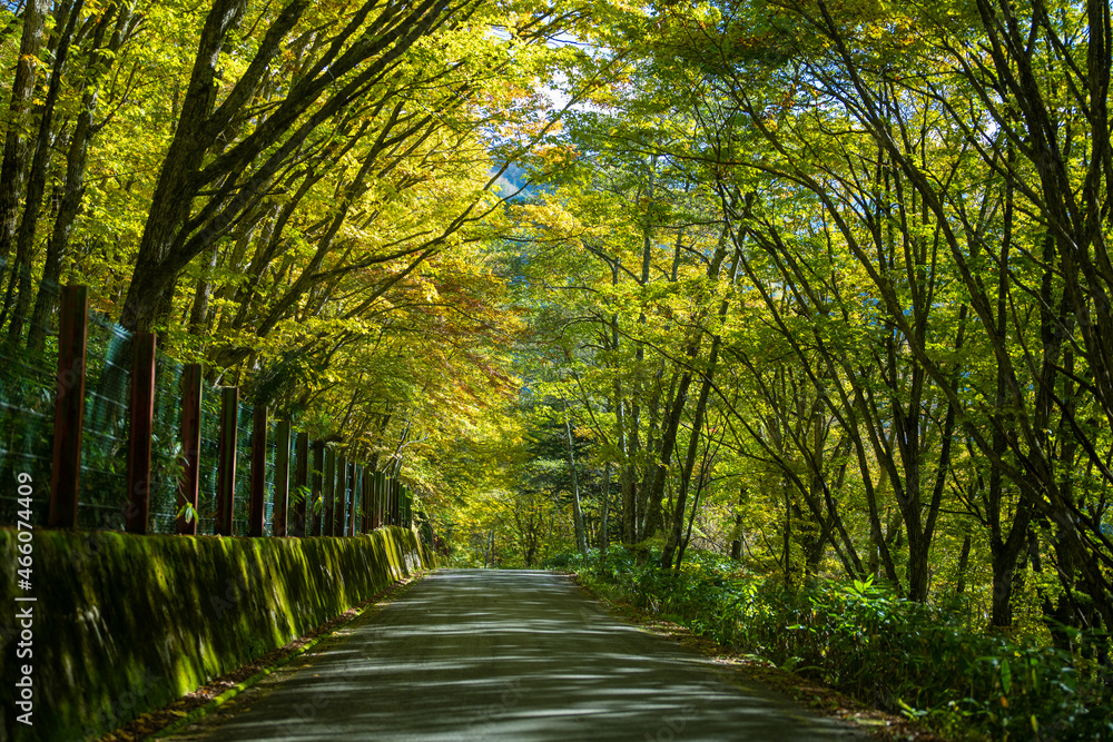 Fototapeta premium 霞沢岳、乗鞍岳、上高地、穂高岳などを見るために、長野県松本市の晩秋の雪が積もる焼岳を登山する風景 Scenery of climbing Mt. Yakedake with snow in late autumn in Matsumoto, Nagano Prefecture to see Mt. Kasumisawa, Mt. Norikura, Kamikochi and Mt. Hodaka