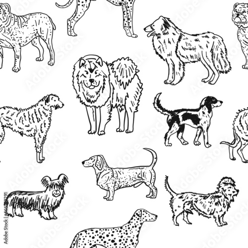 Dogs breeds collection. Vintage style seamless pattern for your design