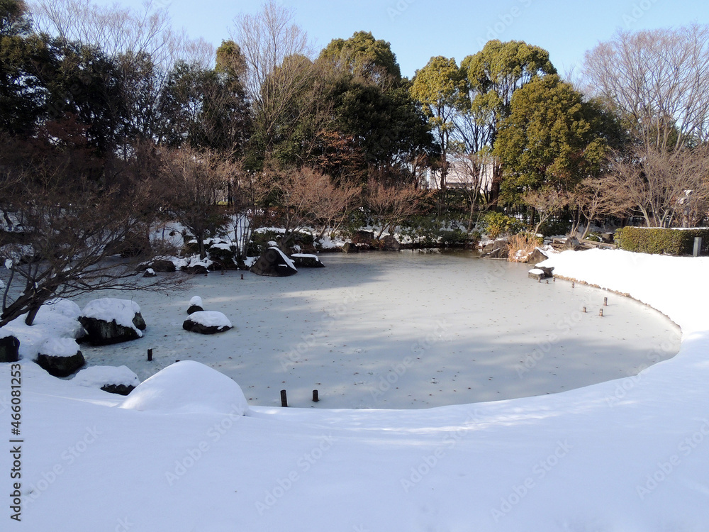 凍った池