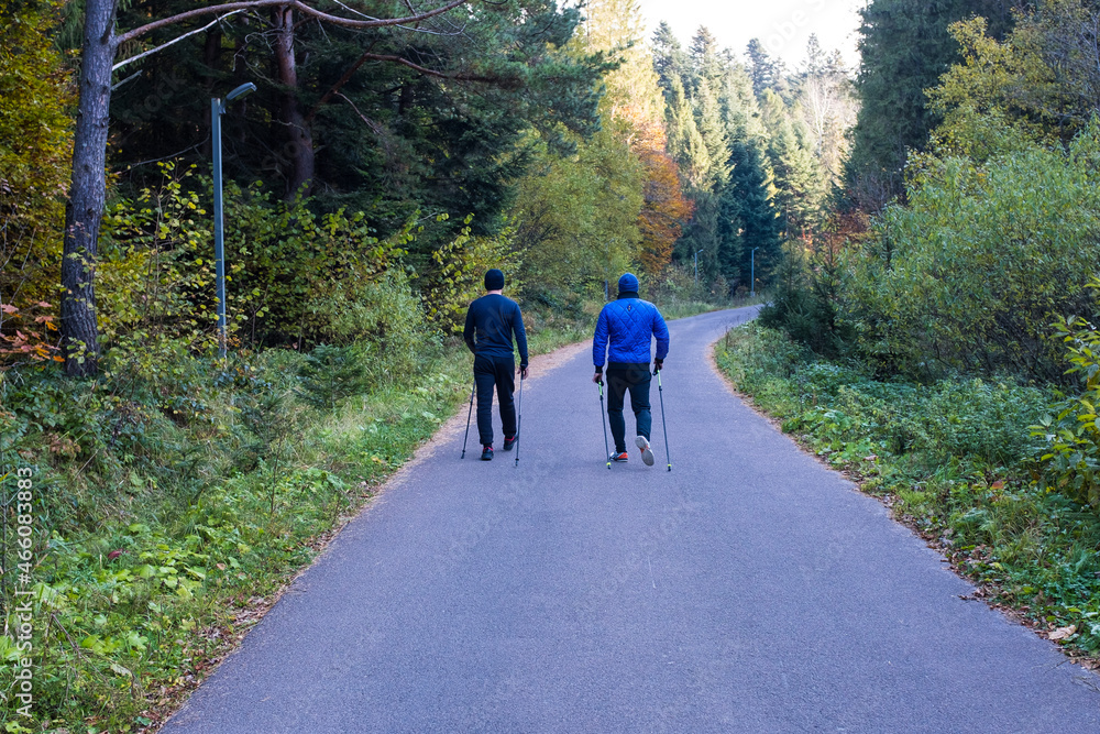 Two mans walking together on a forest road.
