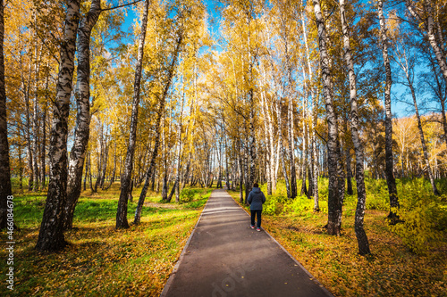 Autumn city landscape. The city of Berdsk, Siberia