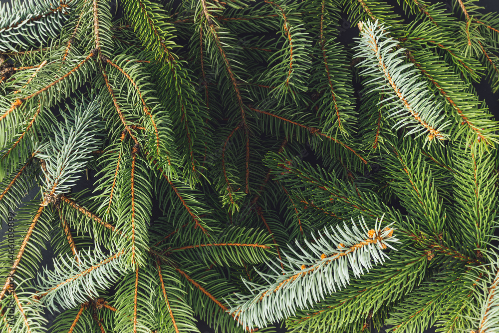 Creative layout made of Christmas tree branches. New Year nature concept. Flat lay. Creative layout made of Christmas tree branches. New Year nature concept. Flat lay.