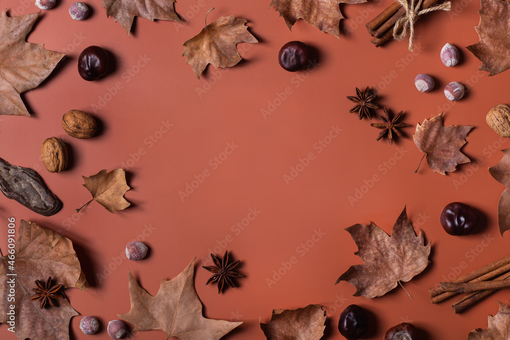 Autumn fall thanksgiving day composition with decorative dried leaves Autumn fall thanksgiving day composition with decorative dried leaves