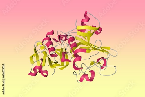 Crystal structure of angiopoietin-1 (Ang1) fibrinogen-related domain. Ribbons diagram in secondary structure coloring based on protein data bank. Scientific background. 3d illustration