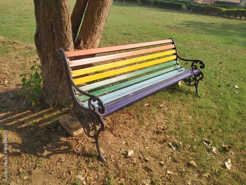 Lgbtq bench in a garden.  photo