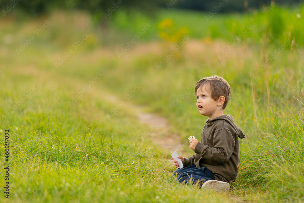 Little boy with flower in countryside road Little boy with flower in countryside road
