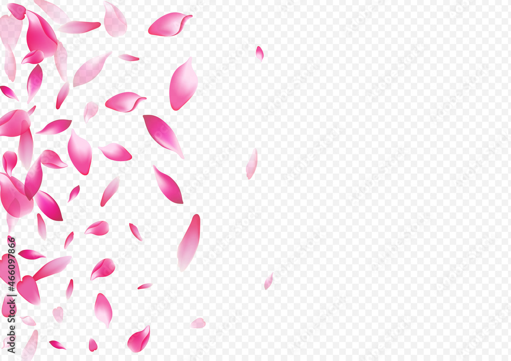 Pink Apple Vector Transparent Background. Sakura Pink Apple Vector Transparent Background. Sakura