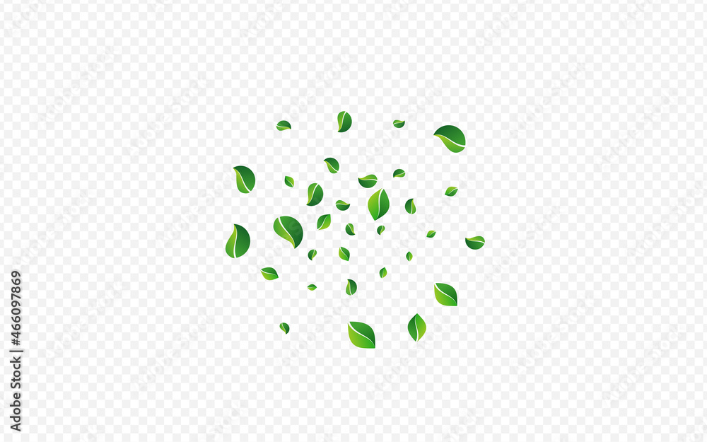 Olive Greens Swirl Vector Transparent Background. Olive Greens Swirl Vector Transparent Background.
