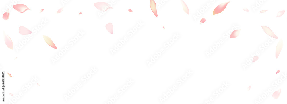 Pastel Rose Petal Vector White Background. Pink Pastel Rose Petal Vector White Background. Pink