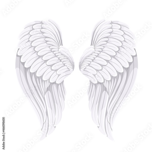 White bird or angel wings, vector illustration.