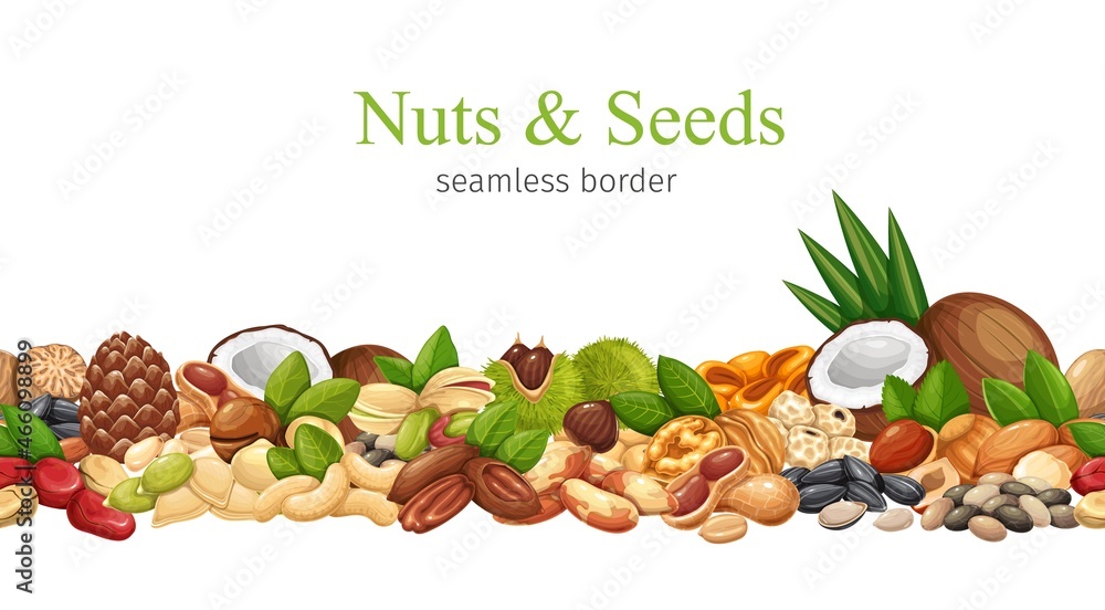 Nuts, seeds and grains seamless pattern border frame vector illustration. Macadamia, almond, corn nuts, nutmeg, cashew, coconut and chestnuts. Sunflower seeds, pistachio, hazelnut and ets Nuts, seeds and grains seamless pattern border frame vector illustration. Macadamia, almond, corn nuts, nutmeg, cashew, coconut and chestnuts. Sunflower seeds, pistachio, hazelnut and ets