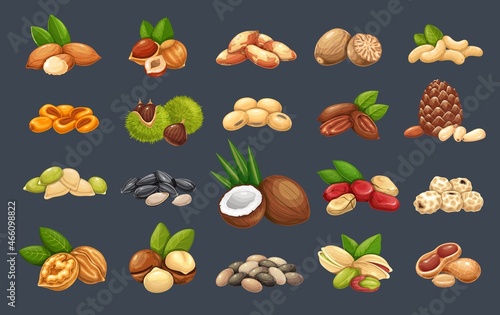 Nuts, seeds and grains icons set. Macadamia, almond, corn nuts, nutmeg, cashew, coconut, chestnuts or chufa tigernuts. Cola nut, peanut, sunflower seeds, pistachio, hazelnut and ets