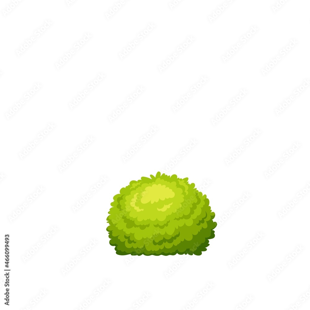 Garden shrub. Green seasonal bush vector illustration.