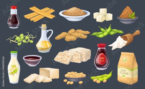Soy food icon. Soybean, tempeh, soy sprouts, tofu skin, coagulated soy milk, miso, flour and ets.
